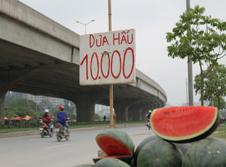 Dưa hấu “mắc kẹt", bán rẻ như cho